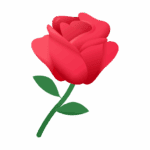Розы